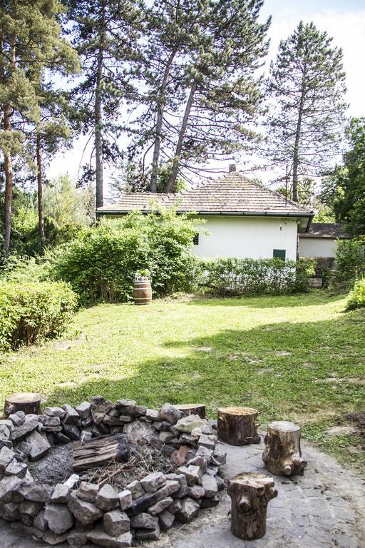 Teraszhaz Zebegeny Villa Buitenkant foto